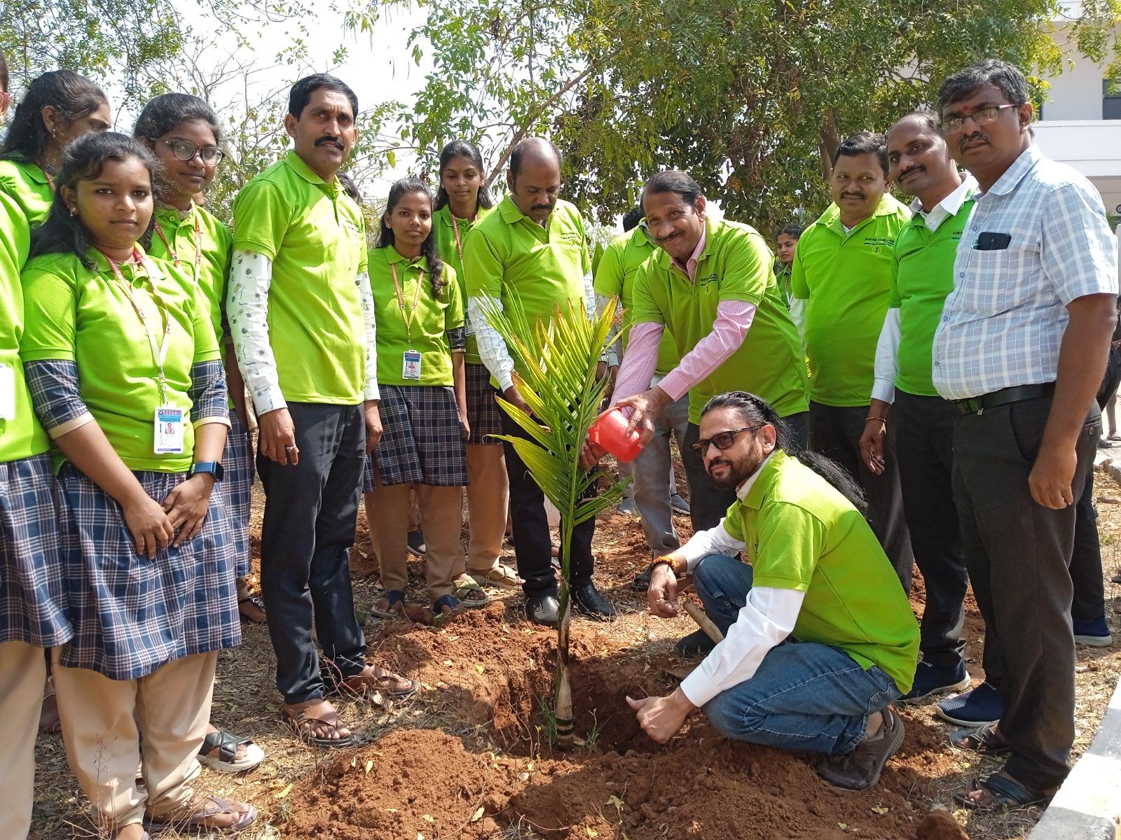 Plantation of Trees