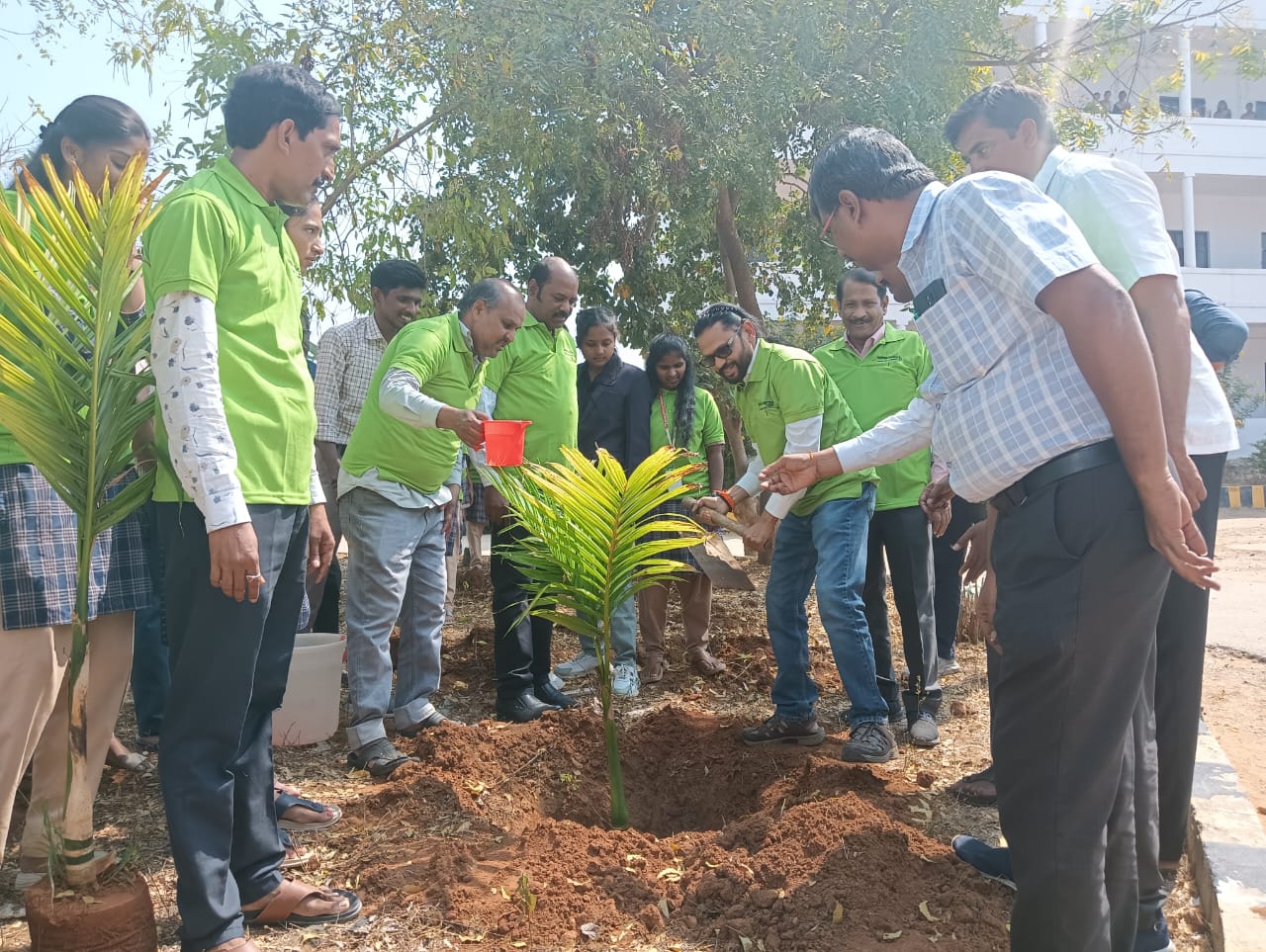 Plantation of Trees