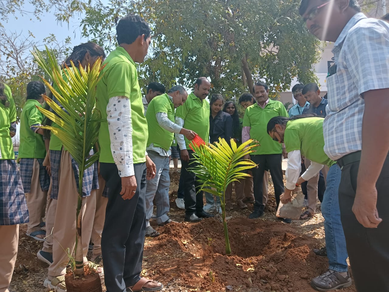 Plantation of Trees