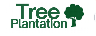 Tree Plantation Logo