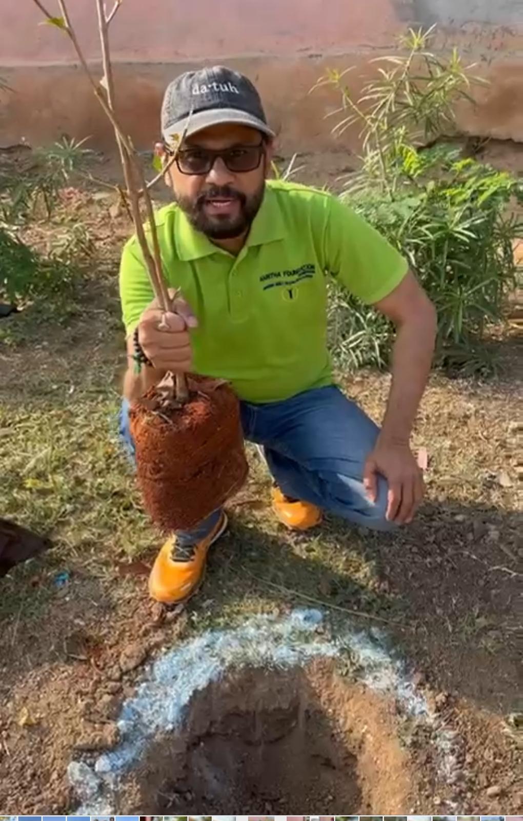 Plantation of Trees
