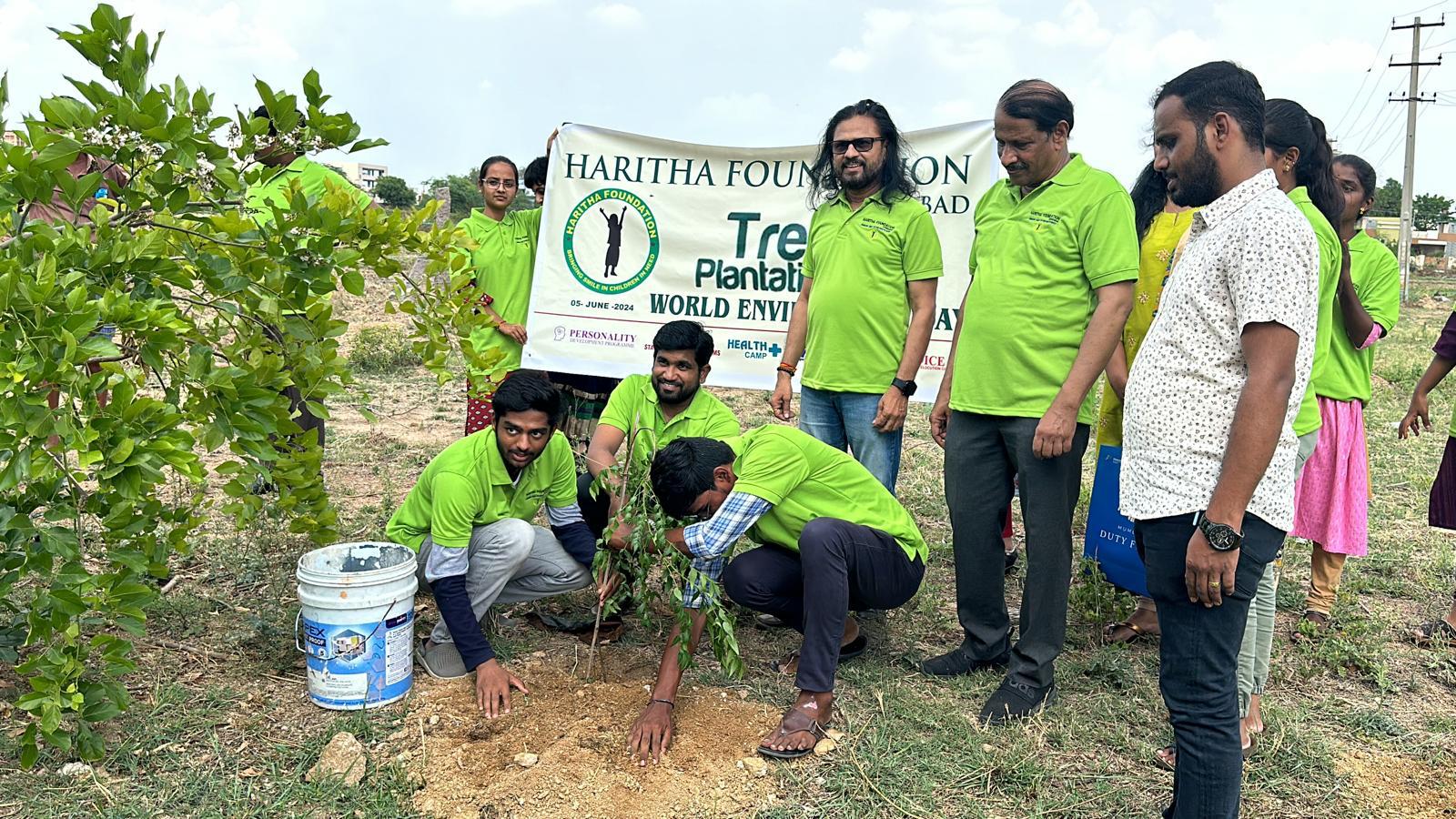 Tree Plantation